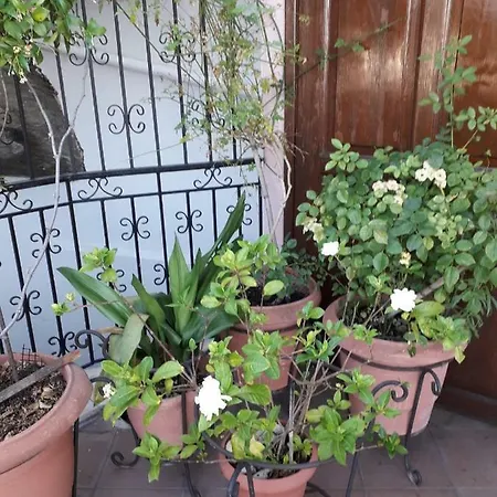 Appartement Nelly's House Kavala